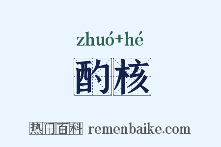 酌核是什么意思的图片